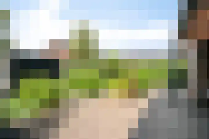Koestraat 22 Wijhe thumbnail 31