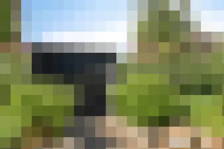 Koestraat 22 Wijhe thumbnail 33