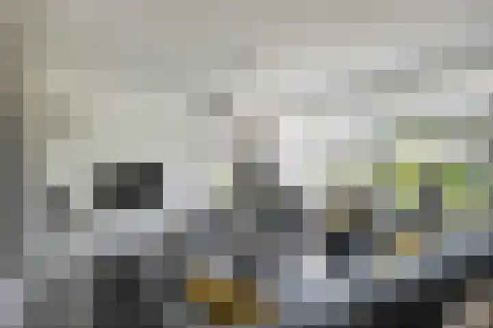 Koestraat 22 Wijhe thumbnail 4