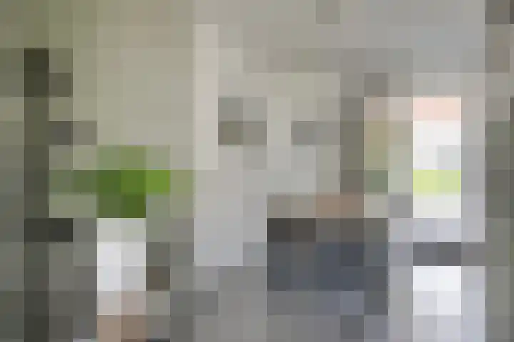 Koestraat 22 Wijhe thumbnail 9