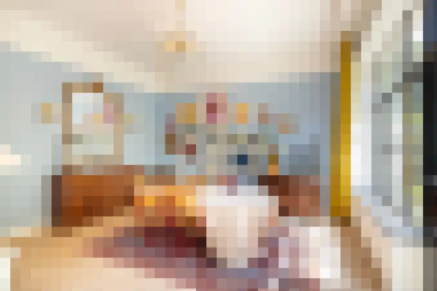 Koestraat 22 Zwolle thumbnail 23