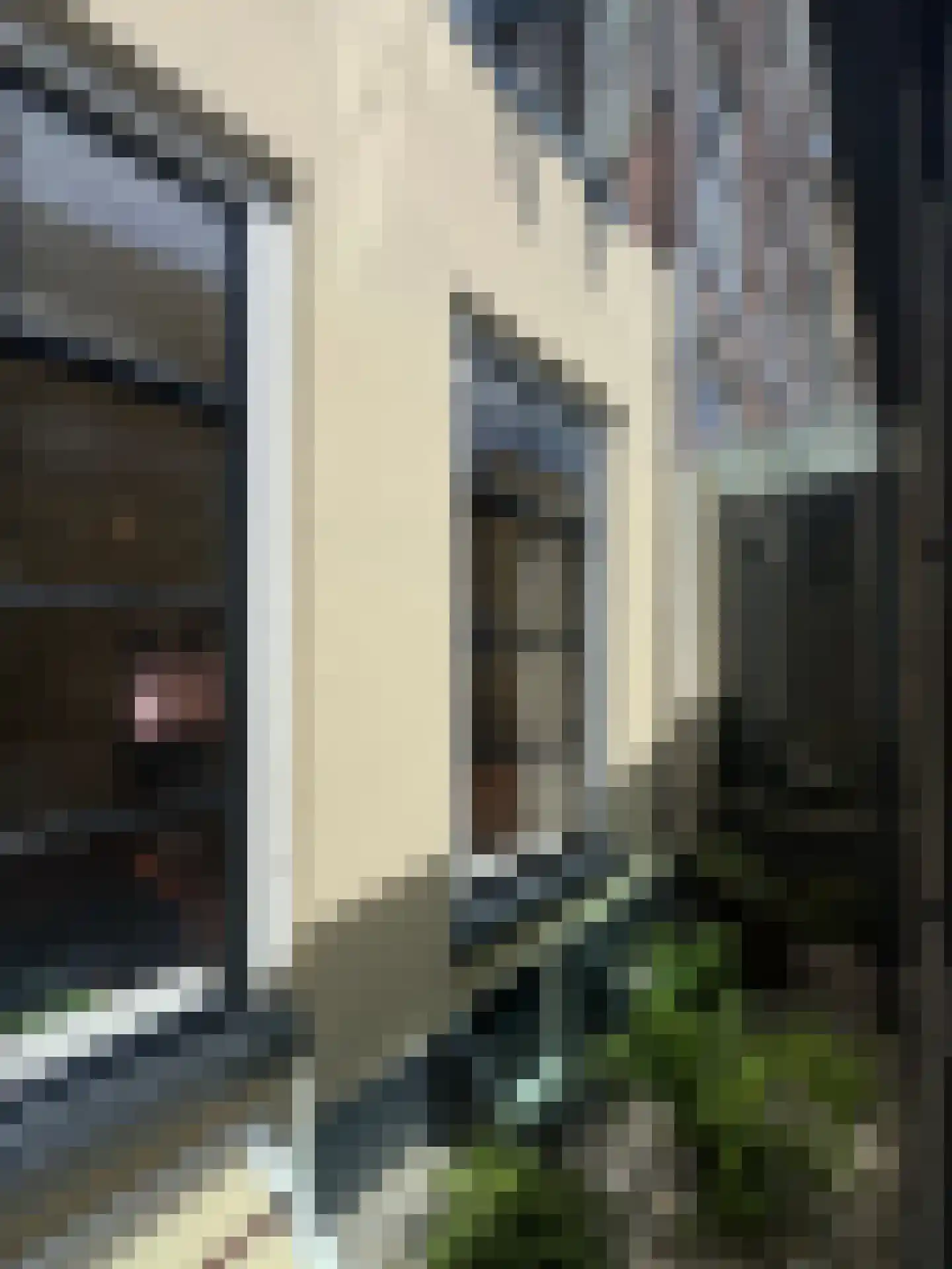 Koestraat 22 Zwolle thumbnail 31