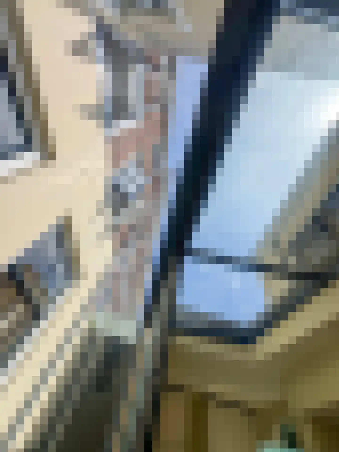 Koestraat 22 Zwolle thumbnail 32