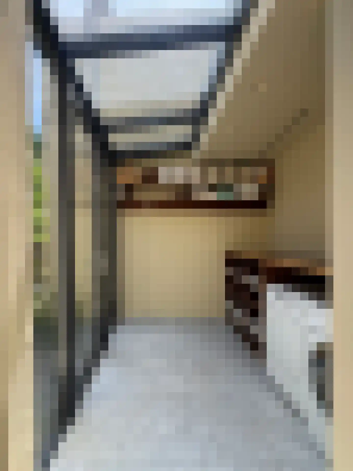Koestraat 22 Zwolle thumbnail 33