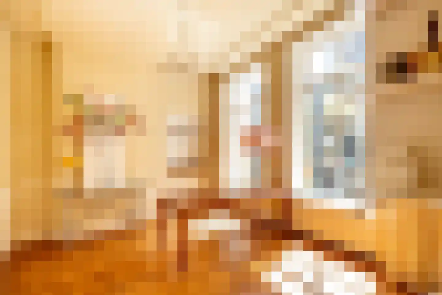 Koestraat 22 Zwolle thumbnail 36