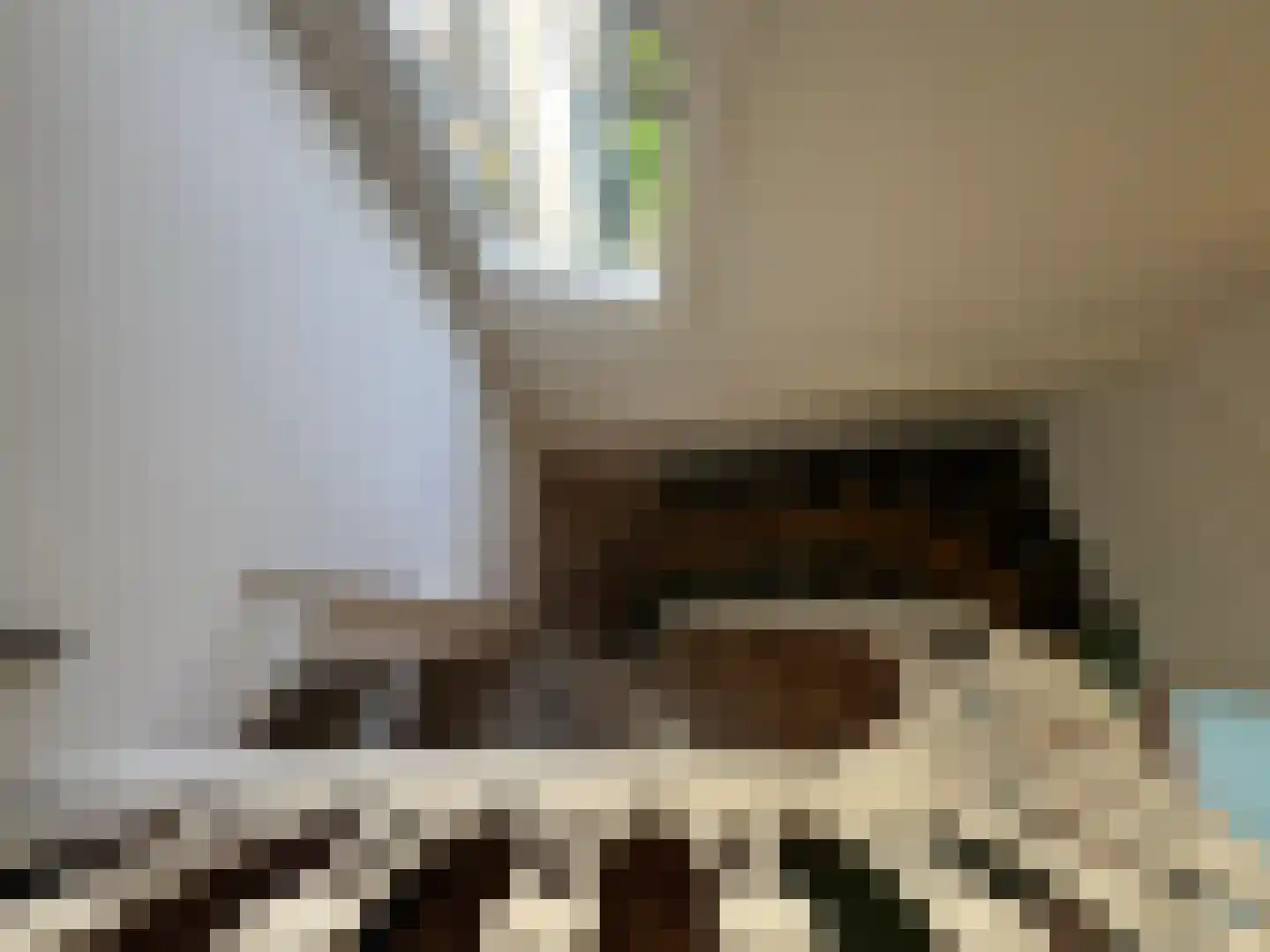 Koestraat 22 Zwolle thumbnail 43