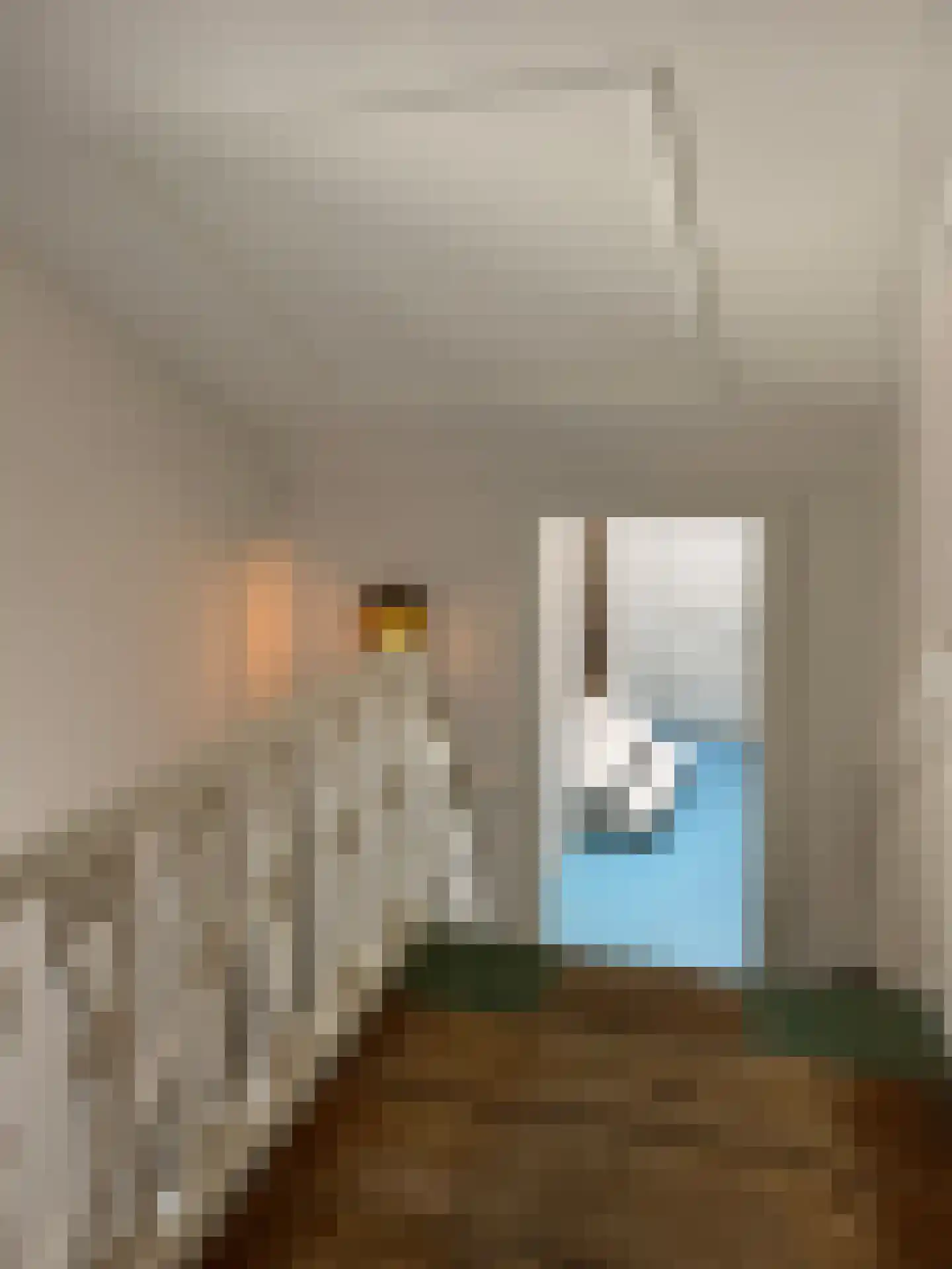 Koestraat 22 Zwolle thumbnail 54
