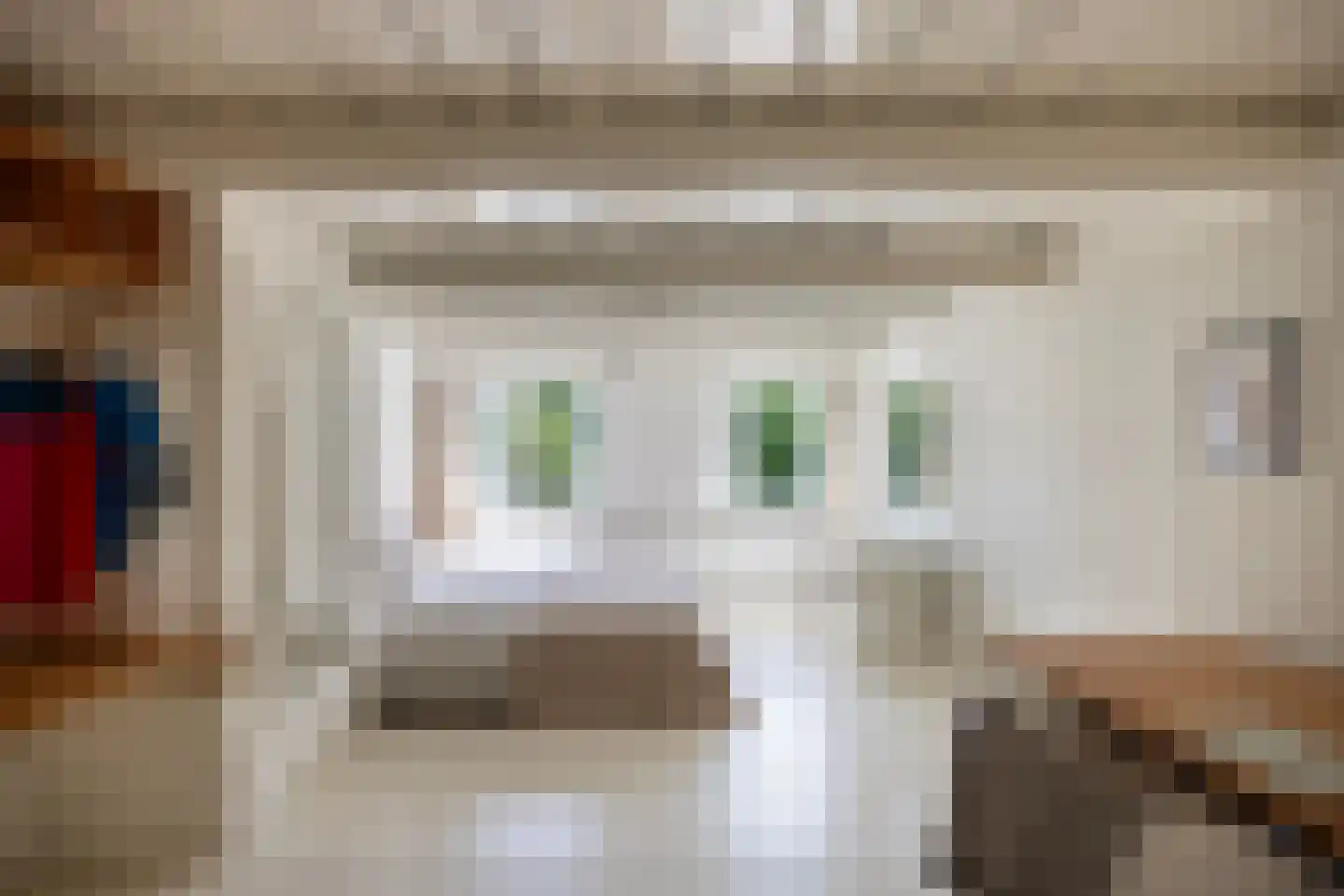 Koestraat 22 Zwolle thumbnail 57