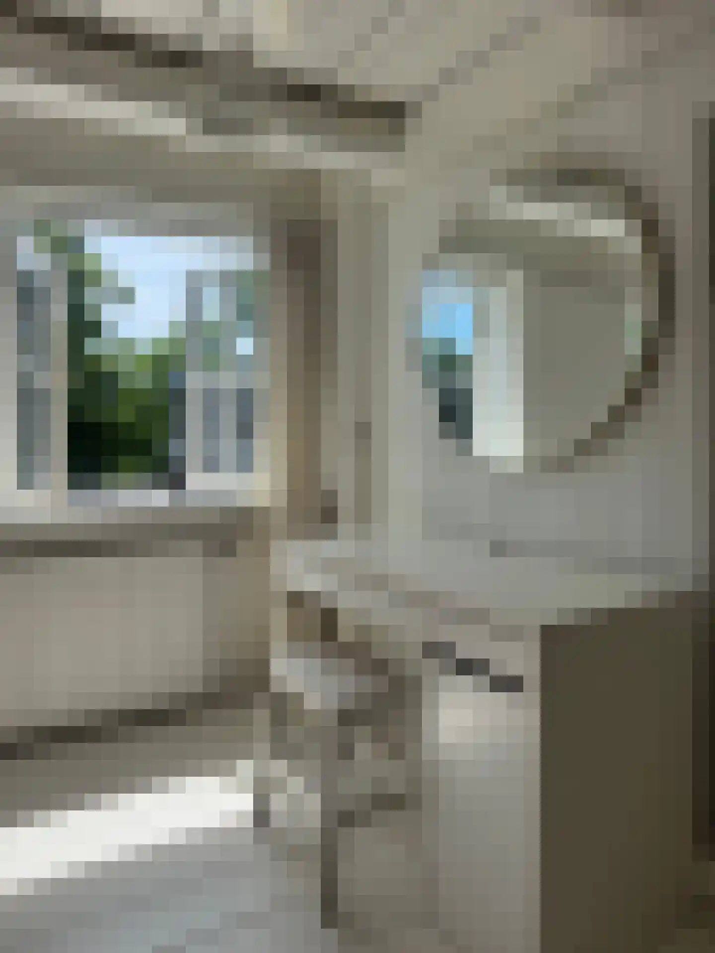 Koestraat 22 Zwolle thumbnail 58