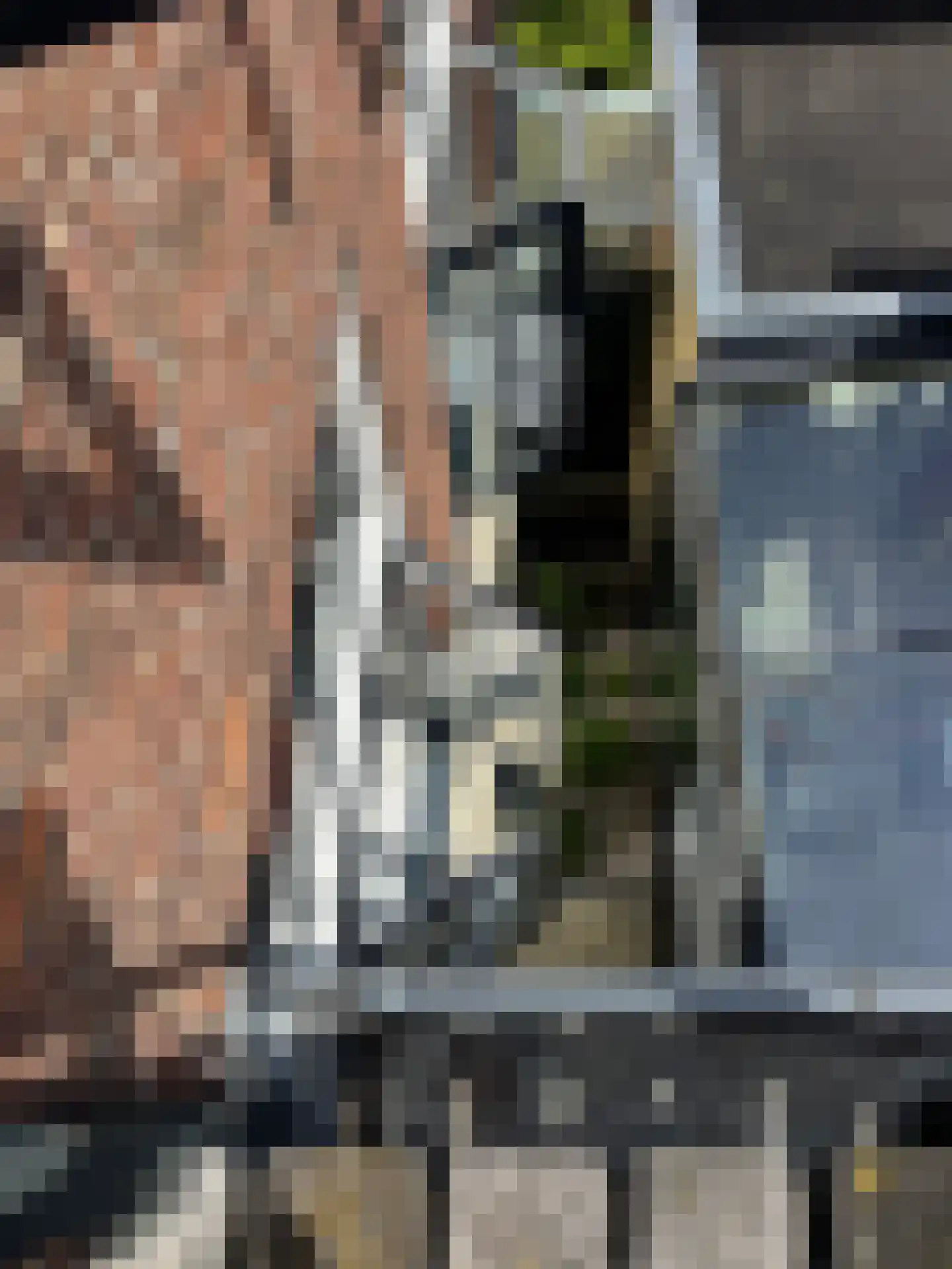 Koestraat 22 Zwolle thumbnail 64