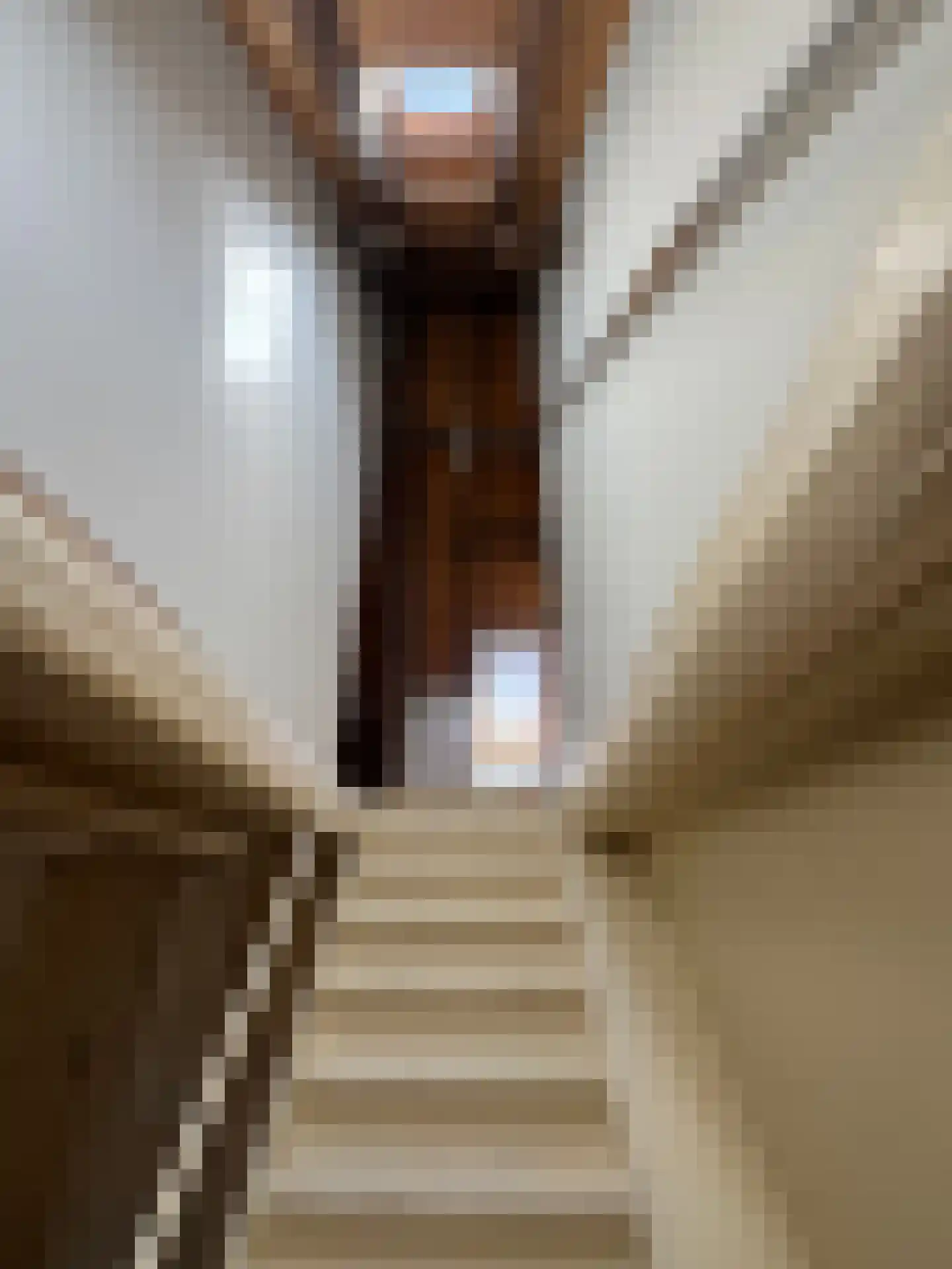 Koestraat 22 Zwolle thumbnail 69