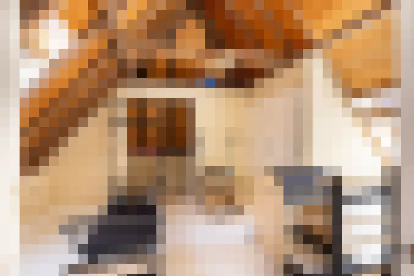 Koestraat 22 Zwolle thumbnail 7