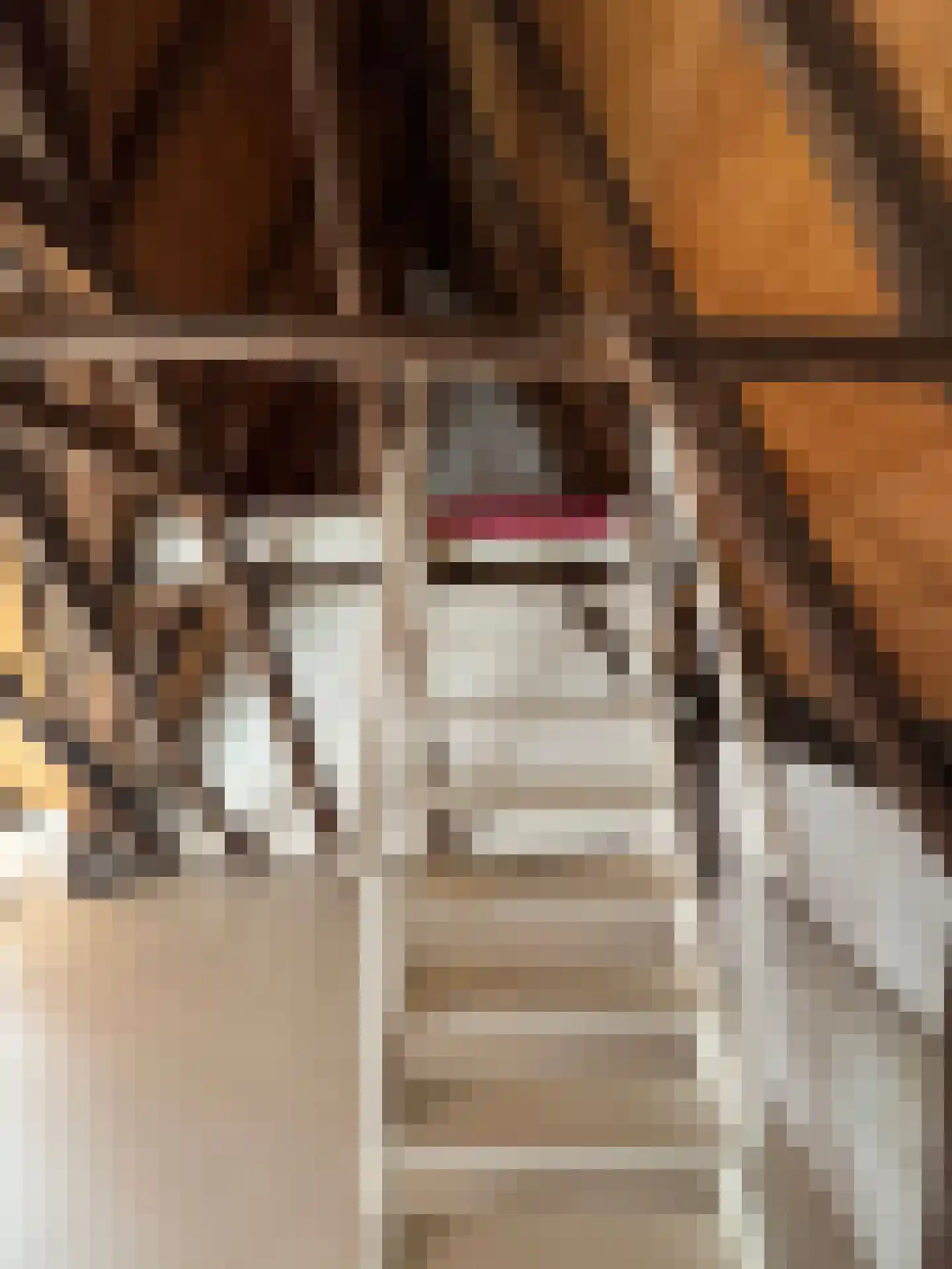 Koestraat 22 Zwolle thumbnail 72