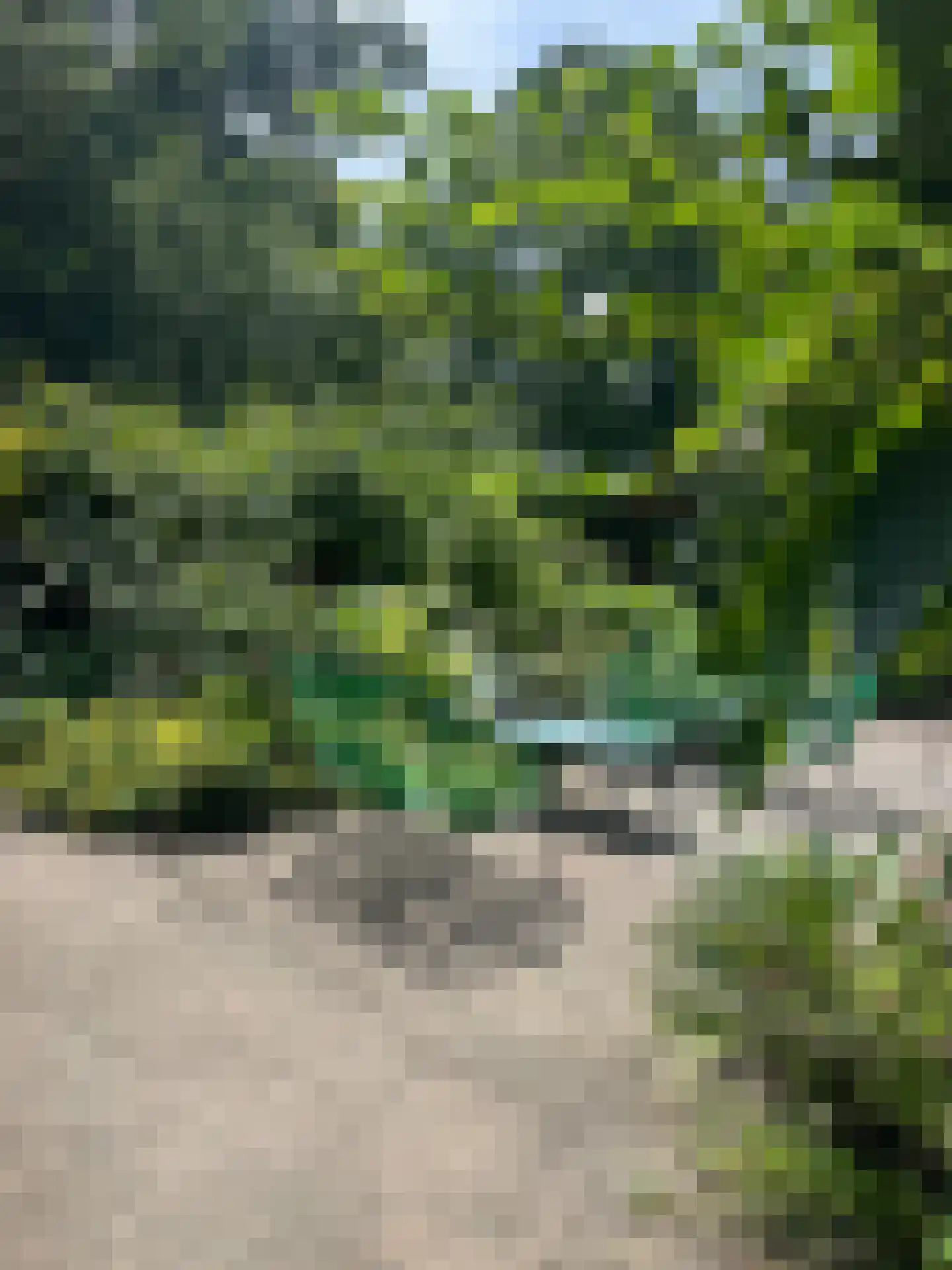 Koestraat 22 Zwolle thumbnail 82
