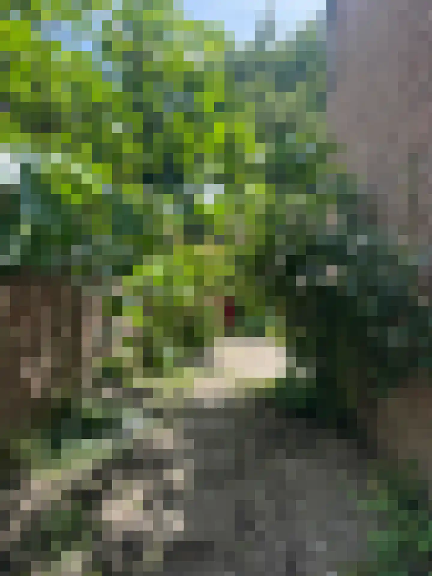 Koestraat 22 Zwolle thumbnail 89