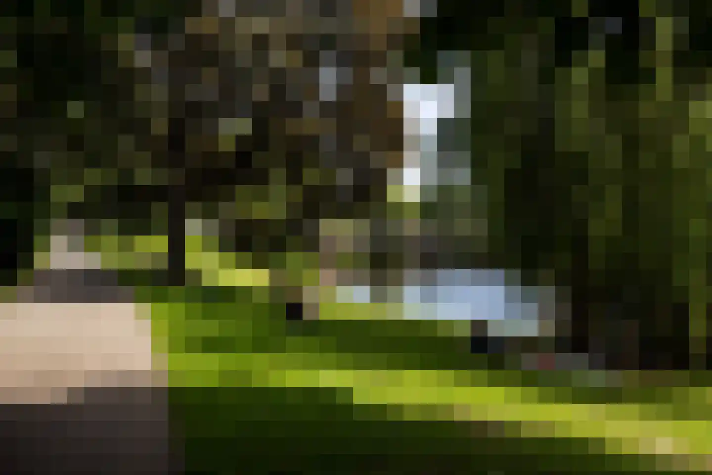 Koestraat 22 Zwolle thumbnail 92