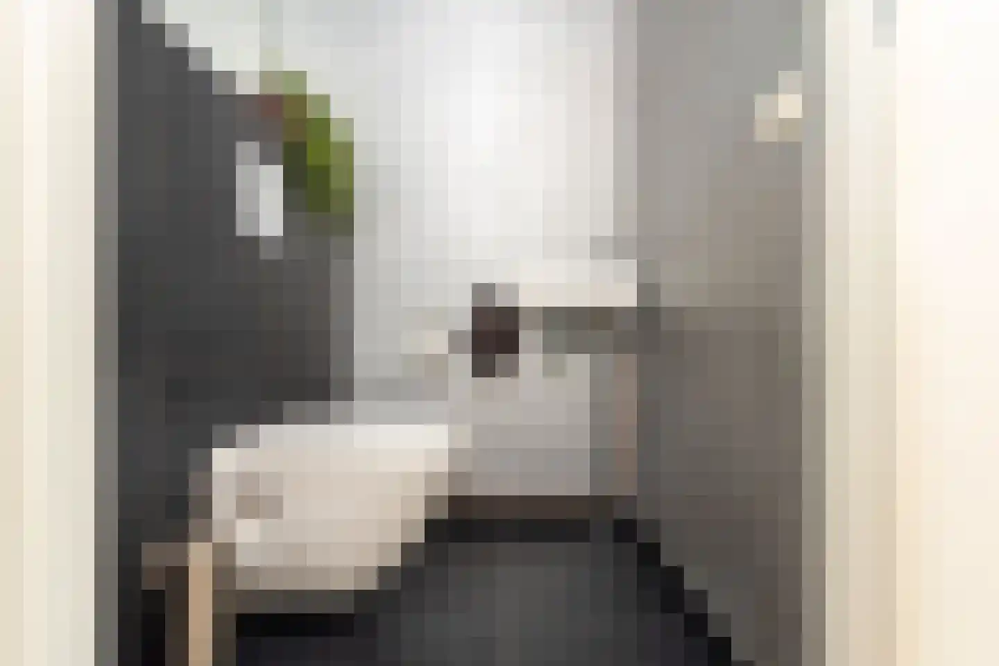 Koestraat 220 Tilburg thumbnail 33
