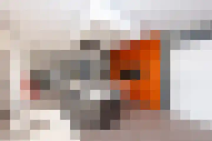 Koestraat 220 Tilburg thumbnail 6