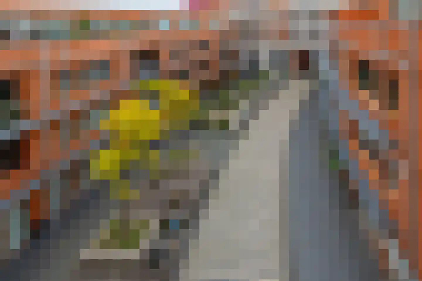 Koestraat 228 Tilburg thumbnail 21