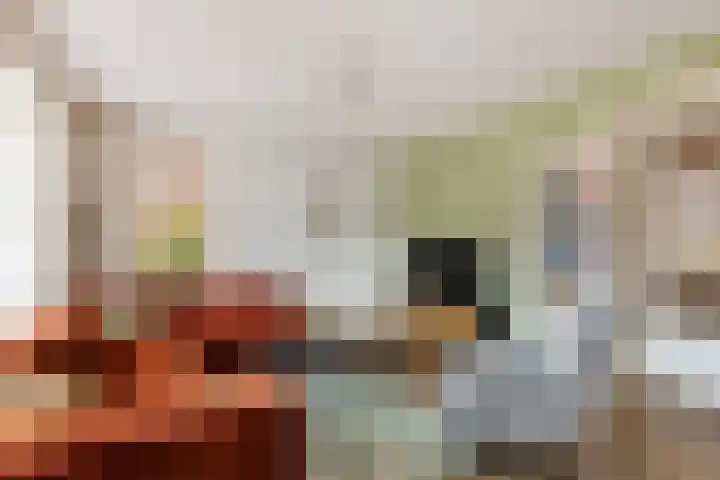 Koestraat 24 Wijhe thumbnail 12