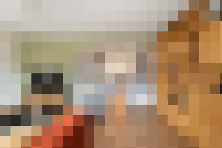 Koestraat 24 Wijhe thumbnail 13