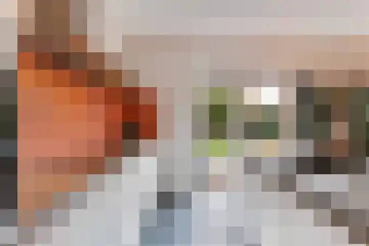 Koestraat 24 Wijhe thumbnail 21