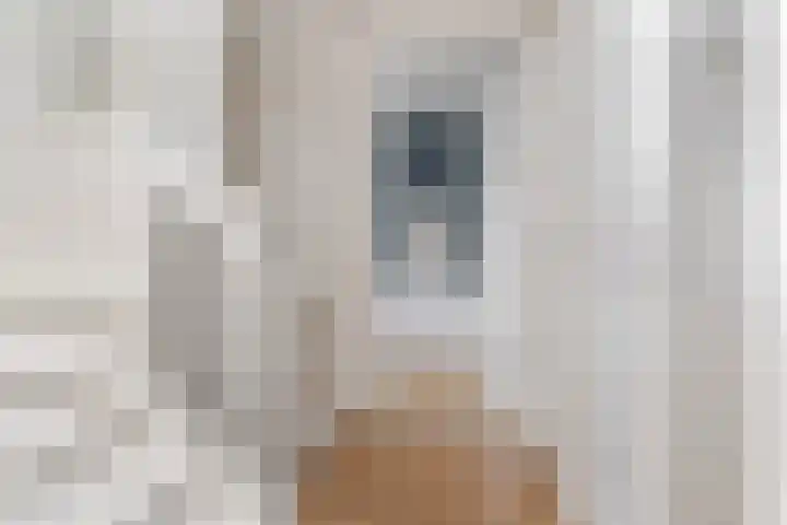 Koestraat 24 Wijhe thumbnail 23