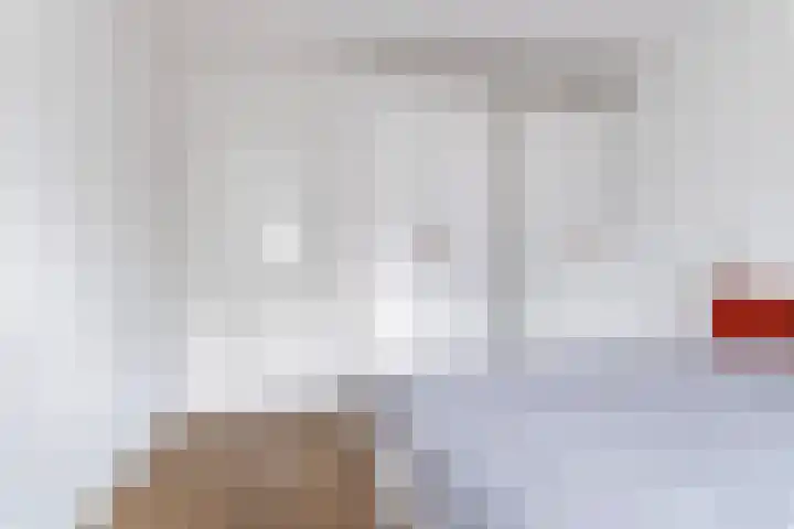 Koestraat 24 Wijhe thumbnail 29