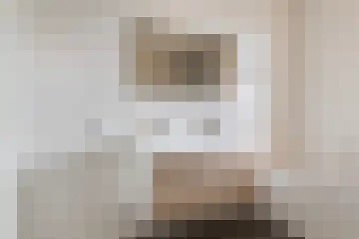 Koestraat 24 Wijhe thumbnail 30