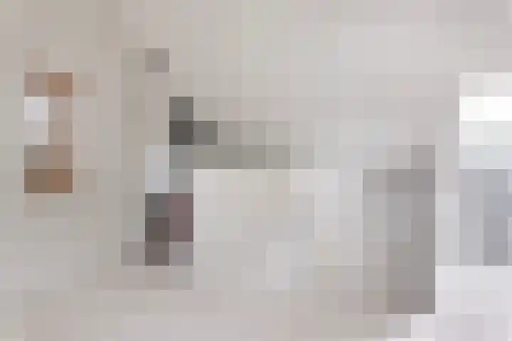 Koestraat 24 Wijhe thumbnail 32