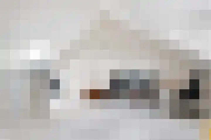 Koestraat 24 Wijhe thumbnail 33