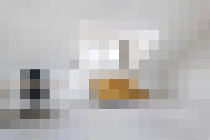 Koestraat 24 Wijhe thumbnail 35
