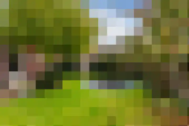 Koestraat 24 Wijhe thumbnail 37