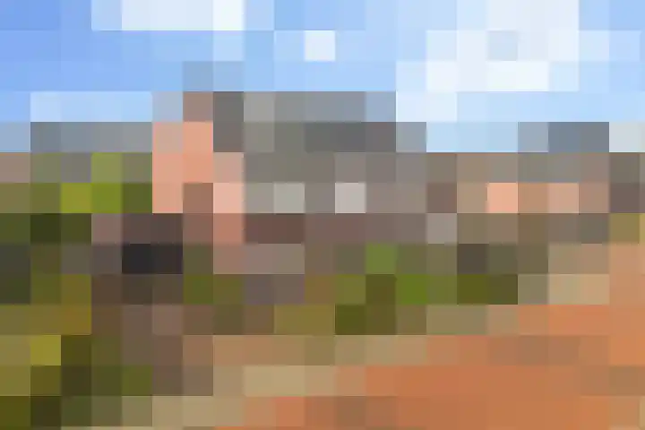 Koestraat 24 Wijhe thumbnail 4
