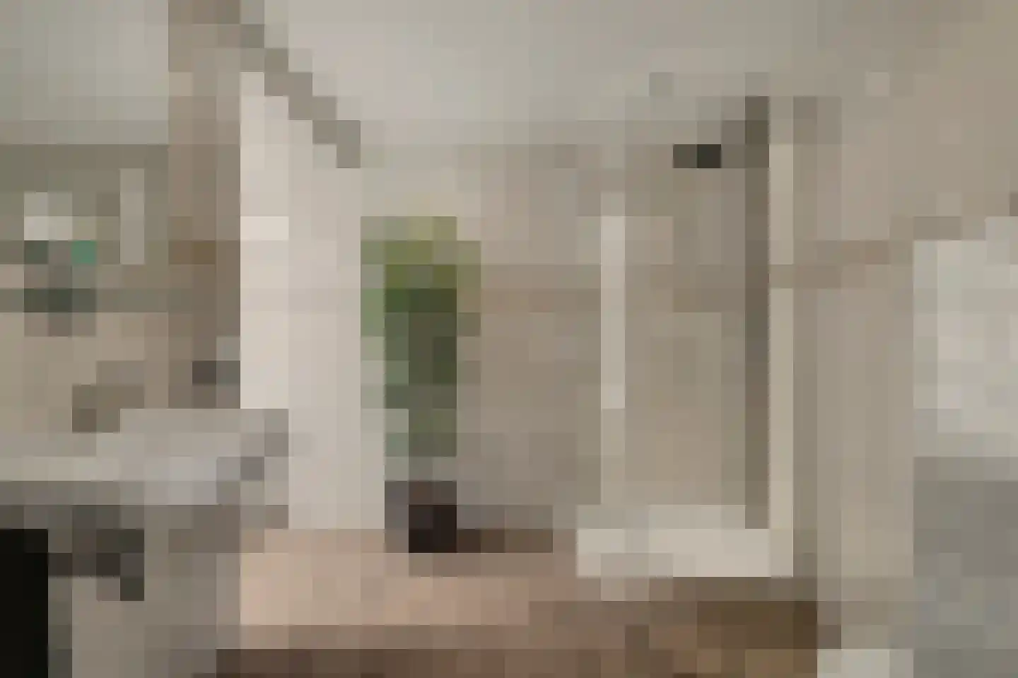 Koestraat 25 Vught thumbnail 17