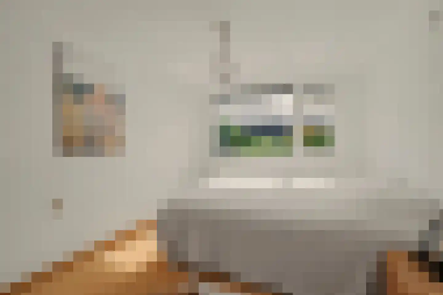 Koestraat 25 Vught thumbnail 26