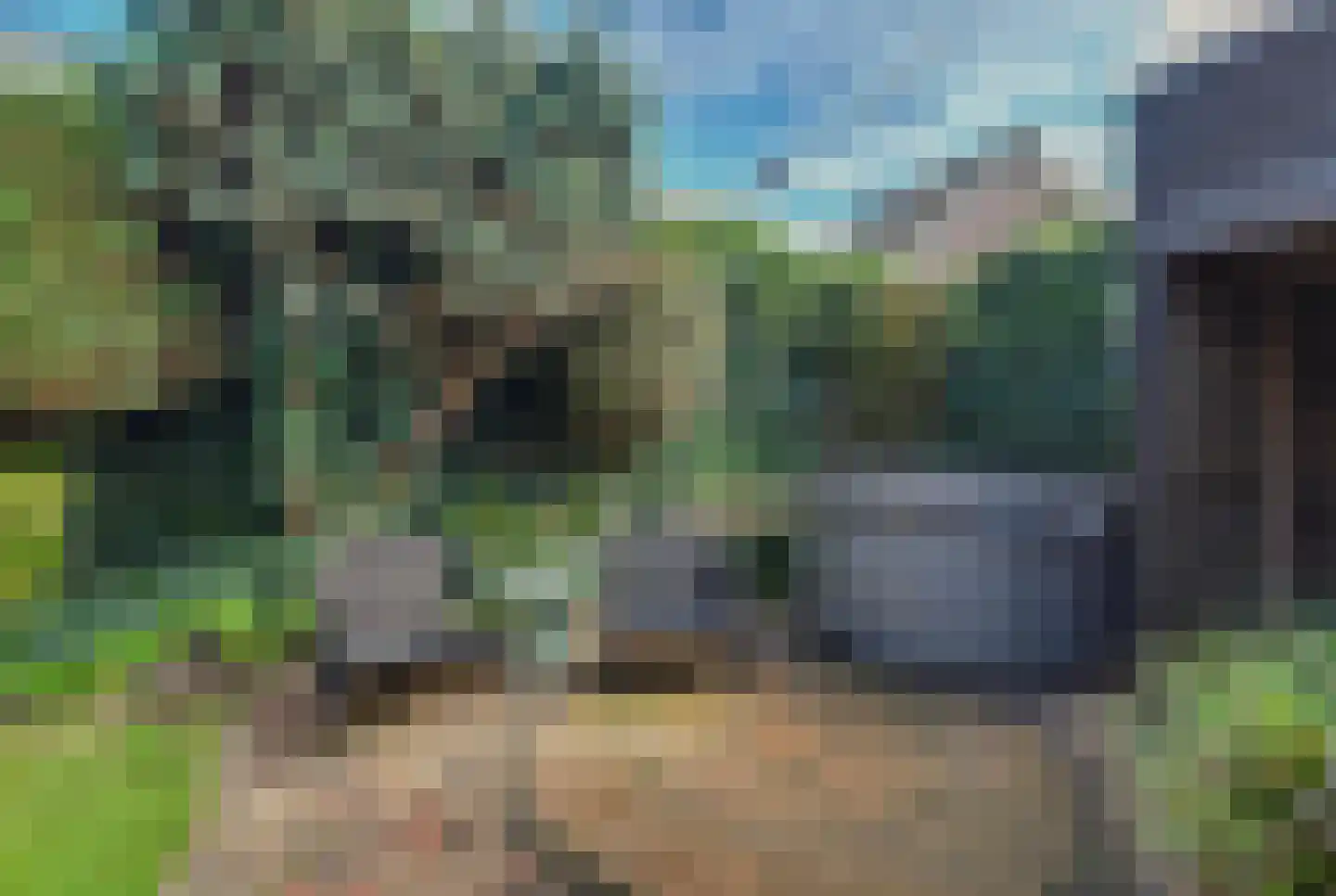 Koestraat 25 Vught thumbnail 36