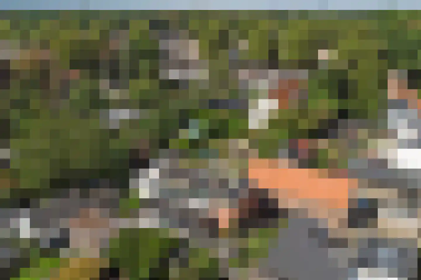Koestraat 25 Vught thumbnail 51