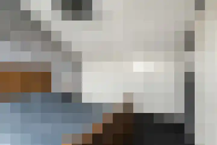 Koestraat 27 Rijnsburg thumbnail 37