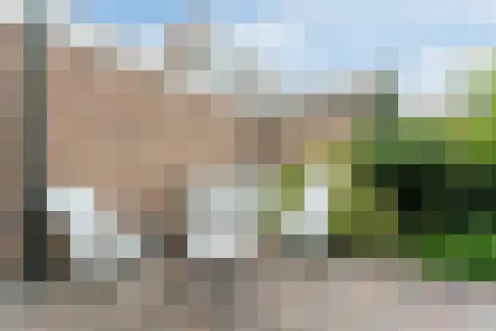 Koestraat 27 Rijnsburg thumbnail 48
