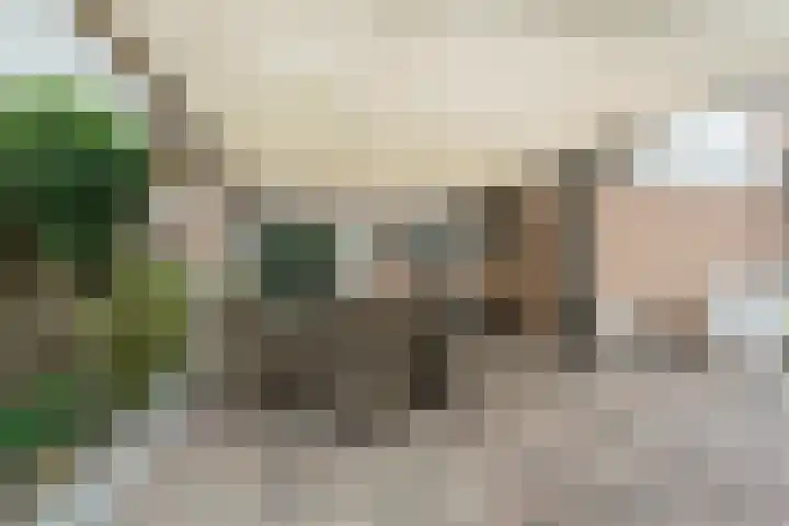 Koestraat 27 Rijnsburg thumbnail 49