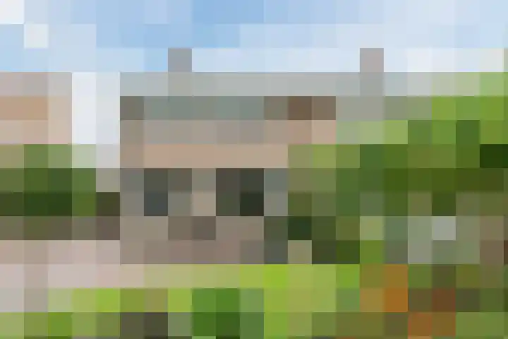 Koestraat 27 Rijnsburg thumbnail 5