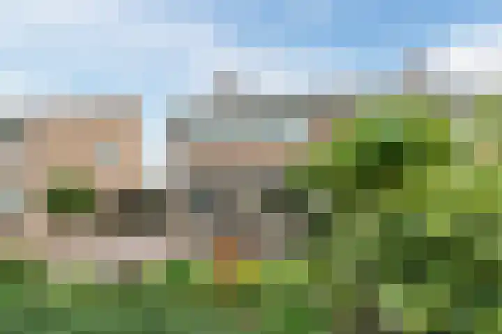 Koestraat 27 Rijnsburg thumbnail 6