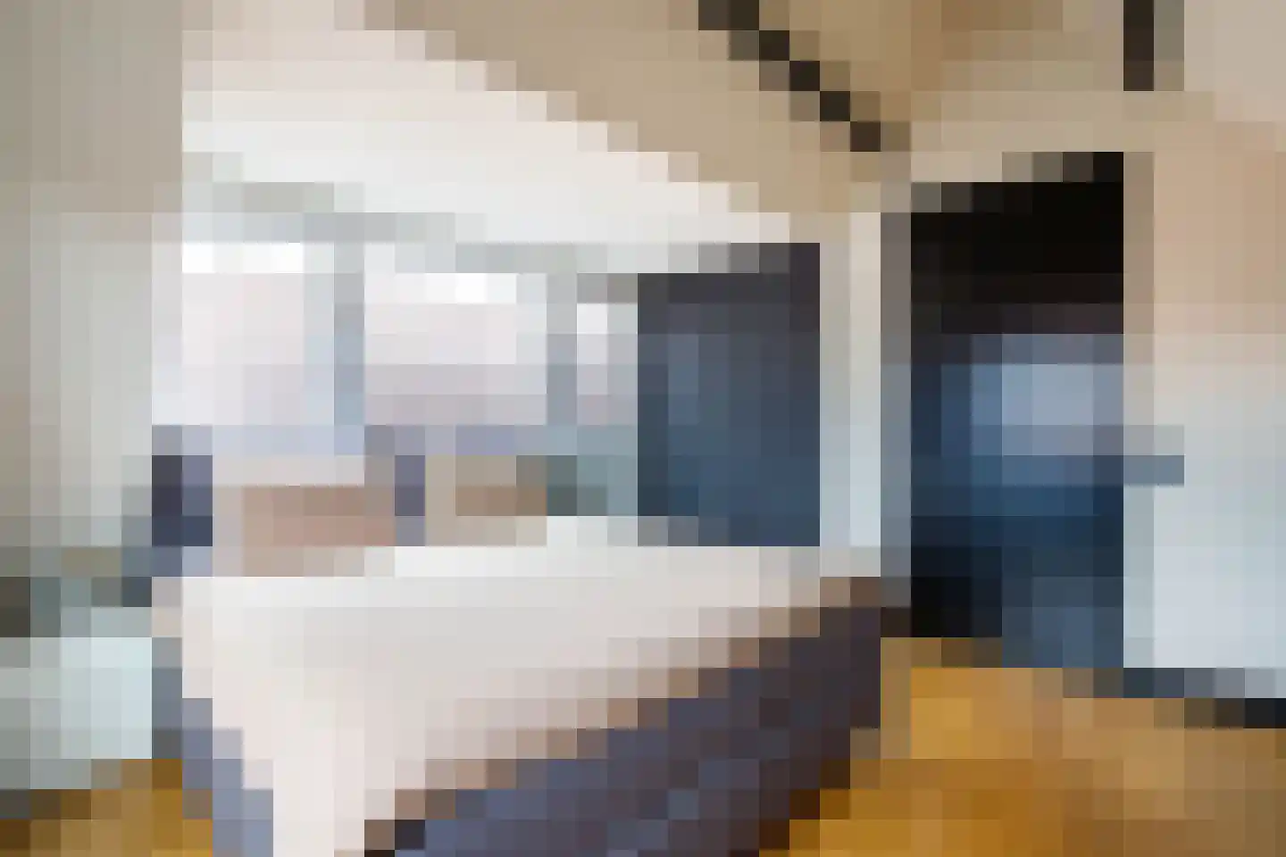 Koestraat 27 Schoonhoven thumbnail 25