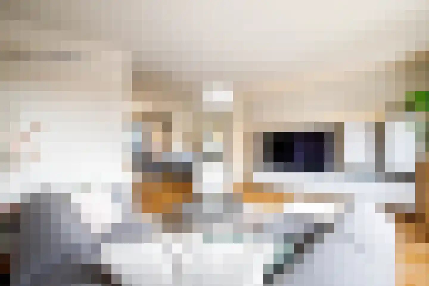 Koestraat 27 Schoonhoven thumbnail 4