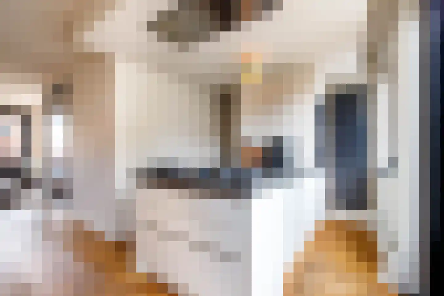 Koestraat 27 Schoonhoven thumbnail 5