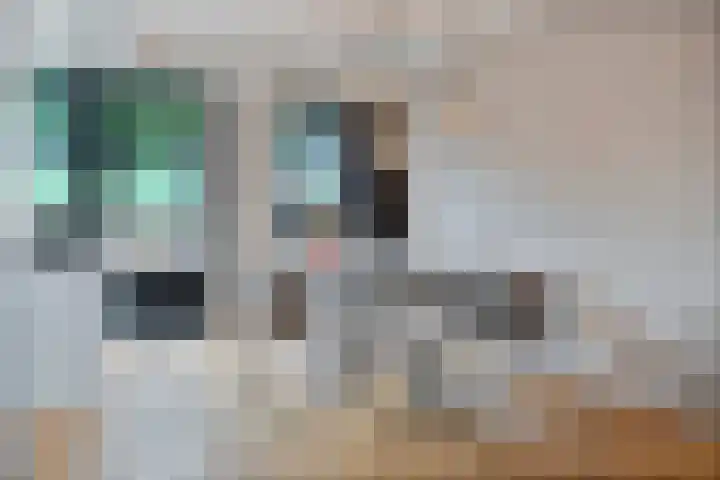 Koestraat 27 Schoonhoven thumbnail 7