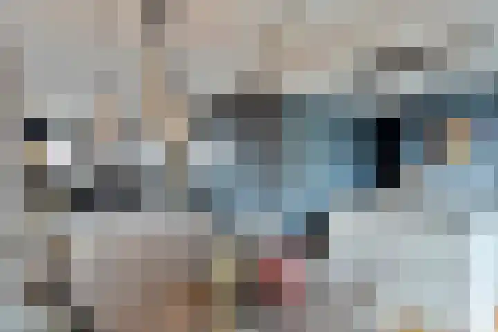 Koestraat 27 Schoonhoven thumbnail 8