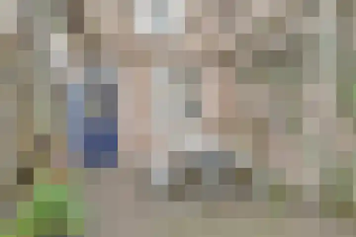 Koestraat 28 Geertruidenberg thumbnail 31