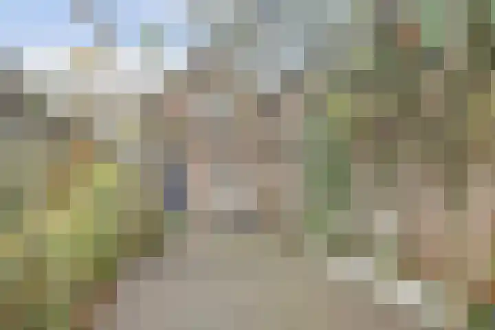 Koestraat 28 Geertruidenberg thumbnail 32